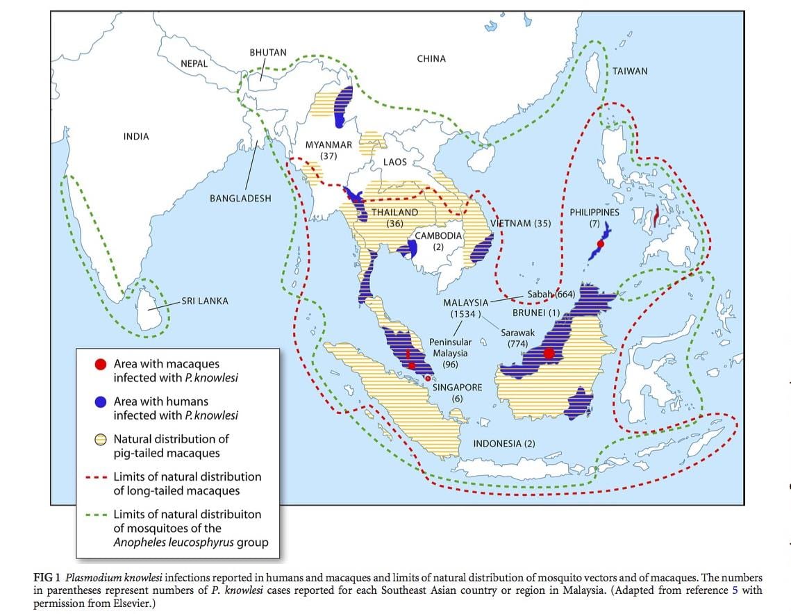 karta över malaysia malaria