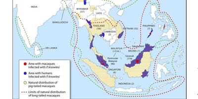 Karta över malaysia malaria